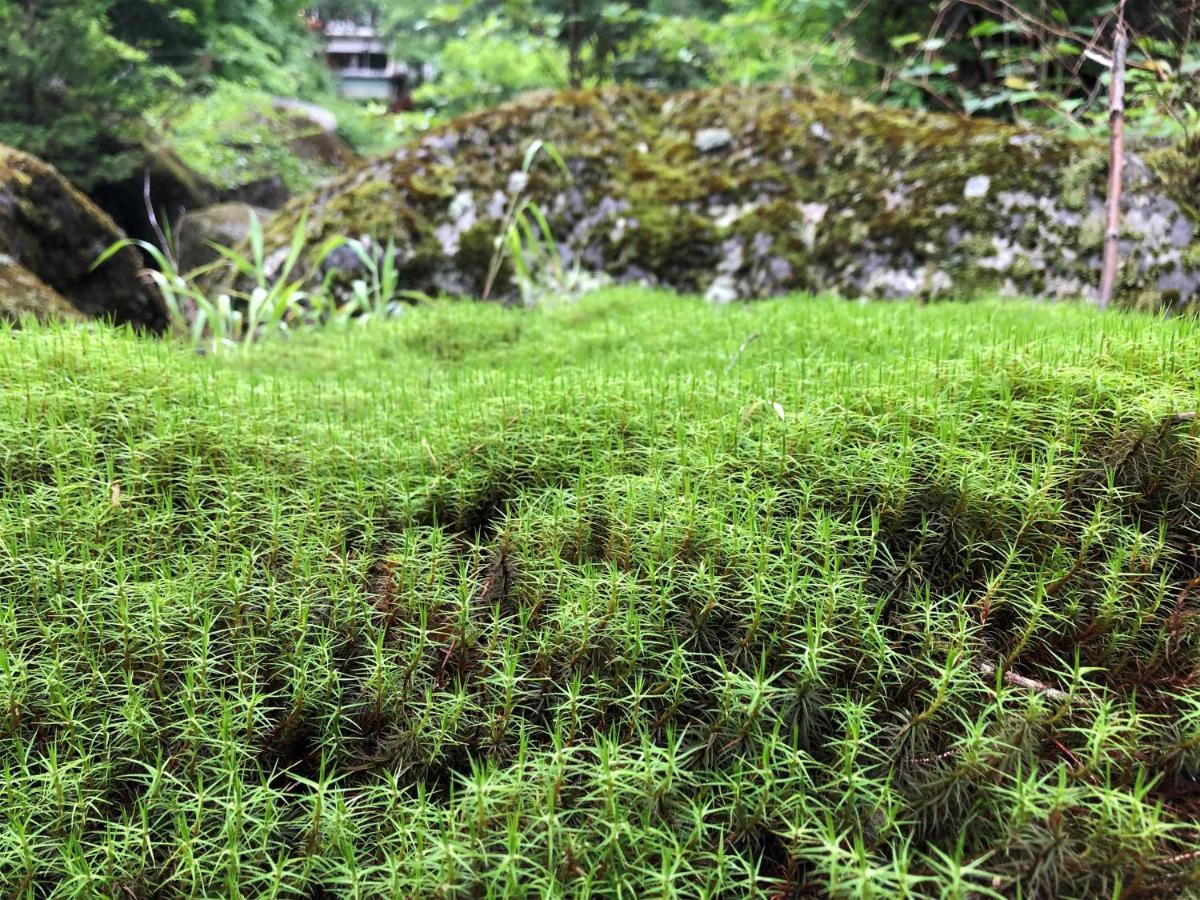 Yama No Yado Meiji Onsen Čino Exteriér fotografie